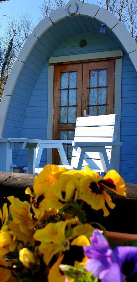 Glamping At Treegrove Otel Kilkenny Dış mekan fotoğraf