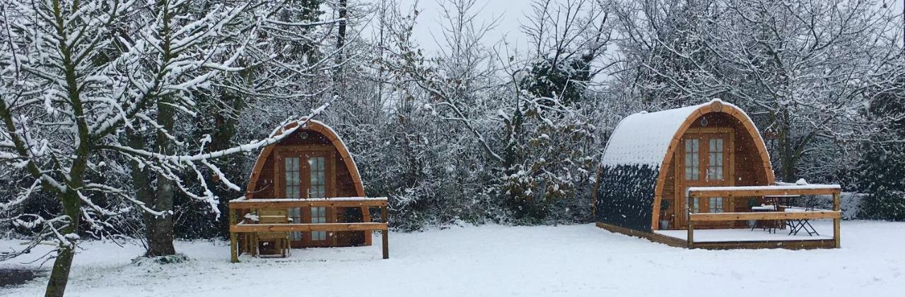 Glamping At Treegrove Otel Kilkenny Dış mekan fotoğraf