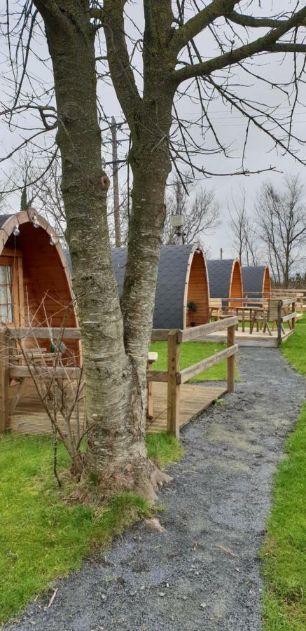 Glamping At Treegrove Otel Kilkenny Dış mekan fotoğraf